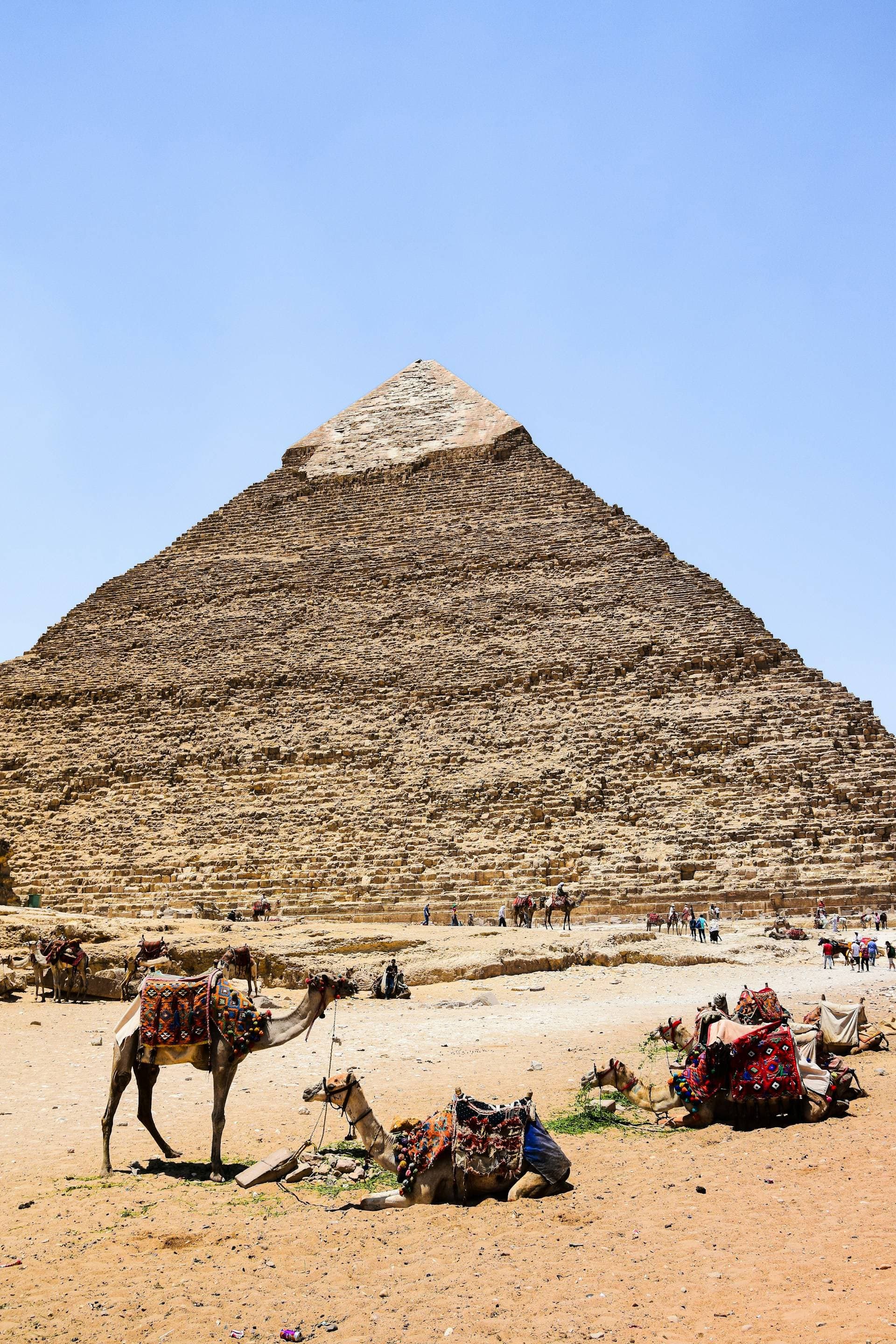 Why Book With Us with