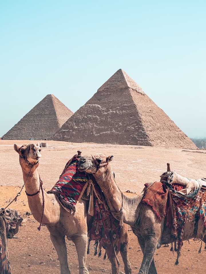 Why Book With Us with