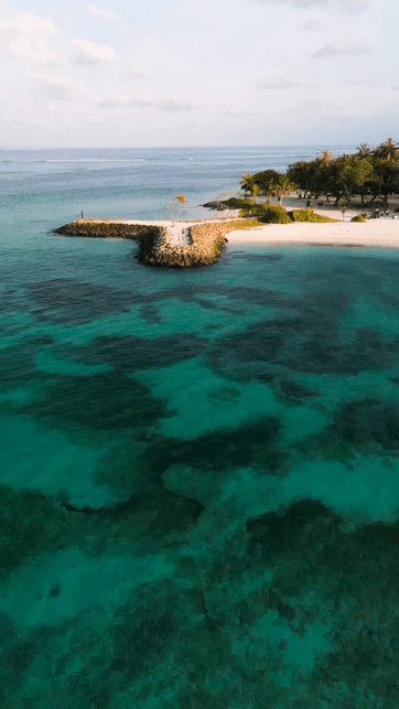 Why Book With Us with