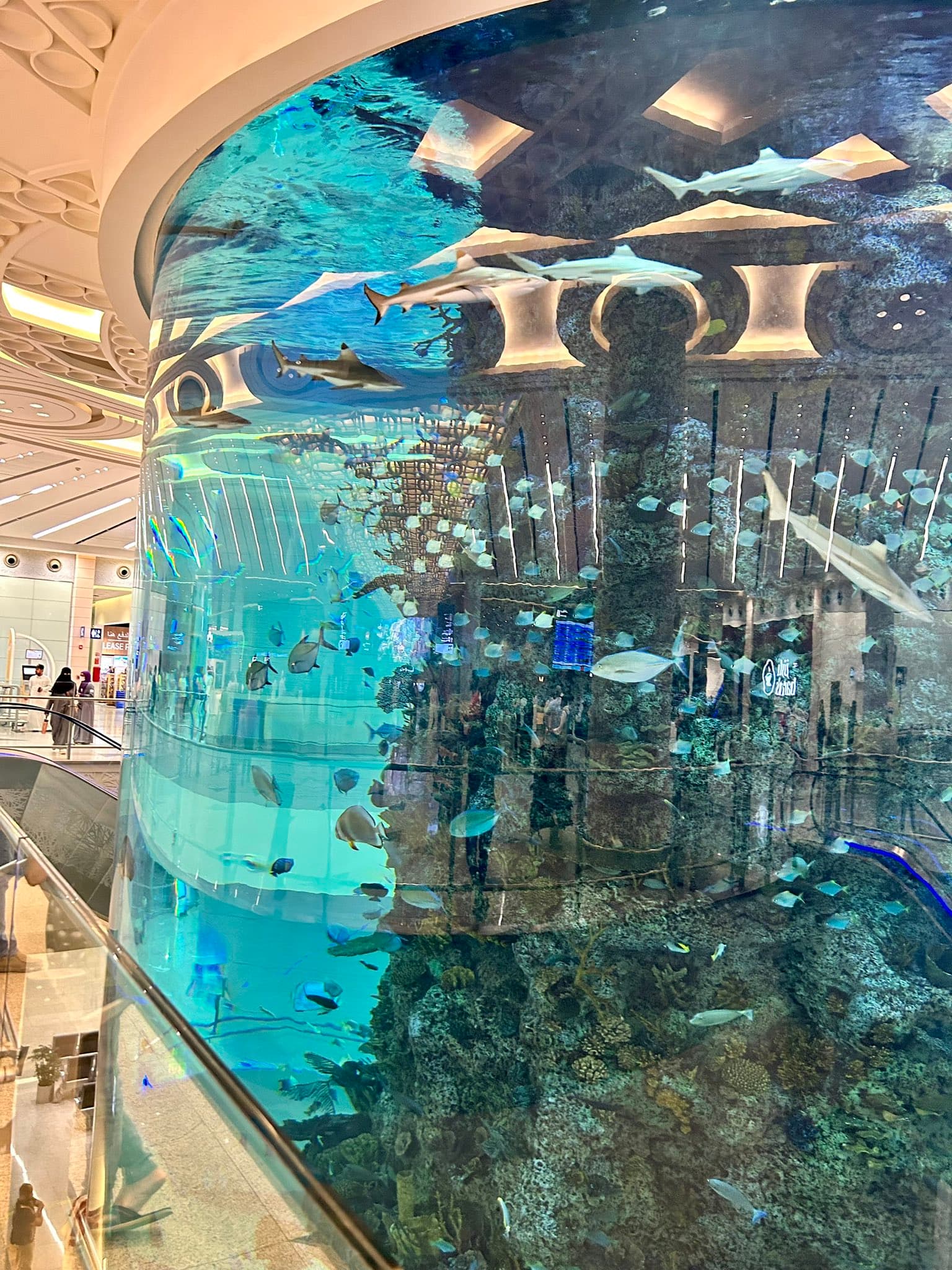 Why Book With Us with